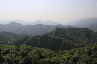 山峦叠翠的绿色山林景观