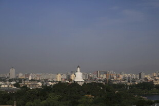 城市天际线与绿树景观