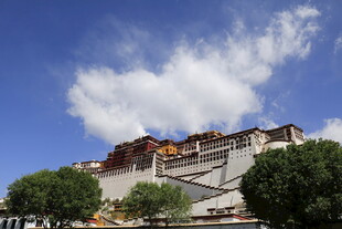 布达拉宫蓝天白云绿树景