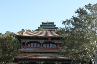 中式古建筑掩映于绿树间