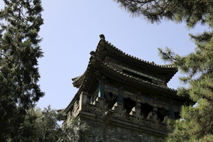 古建楼阁隐于葱郁林间