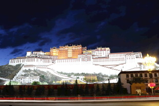 夜幕下的布达拉宫美景