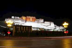 布达拉宫夜景璀璨迷人