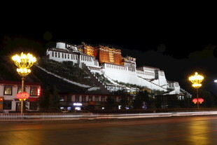 夜幕下的布达拉宫美景