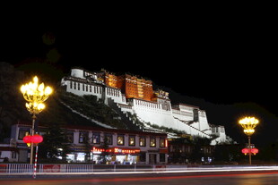 布达拉宫夜景璀璨灯火