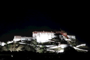 布达拉宫夜景璀璨迷人