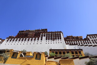 雄伟布达拉宫 蓝天映衬