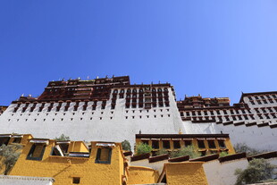 雄伟布达拉宫 蓝天映衬