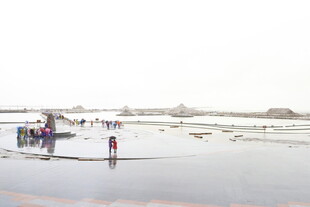 冬日河边人群活动景象