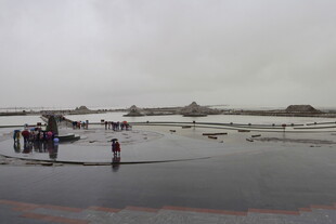 海边人群漫步于滩涂之上