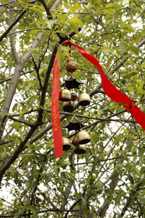 树上红绸系着多层塔铃