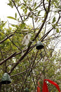 树上悬挂的多彩装饰物