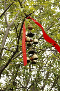 树上挂饰 红绸与铃铛