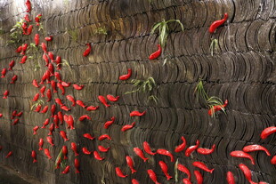 红辣椒悬挂于古朴墙前