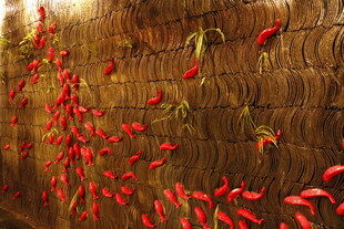 墙上晾晒的红辣椒