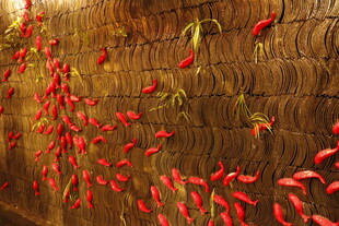 墙上挂晒的红辣椒