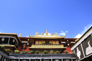 藏式建筑屋顶的华丽景致