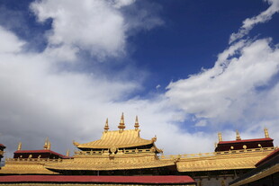 藏式建筑金顶映蓝天