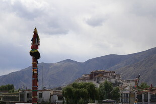 西藏风光中的独特建筑