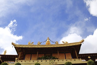 藏式金顶庙宇 蓝天白云下