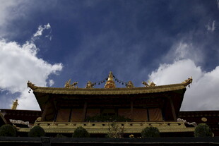 藏式金顶建筑 蓝天相伴