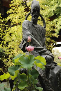 禅意僧人像与盛开荷花