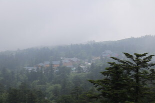 雾中山林与远处建筑景观