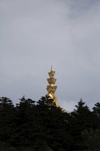 山顶金色宝塔隐于林间