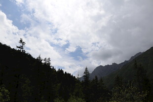 山间云雾缭绕的森林美景