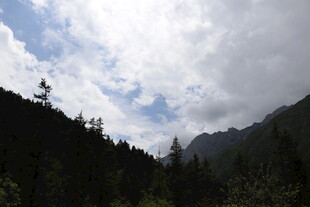 山间云雾缭绕的森林美景