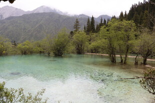 秀丽山水间的澄澈湖泊