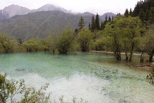 山间碧湖翠林美景
