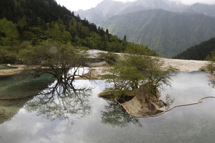 山间清潭孤树自然景致