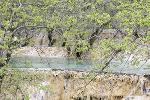 山间溪流穿林而过