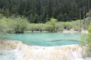 蓝绿色湖水旁的葱郁山林