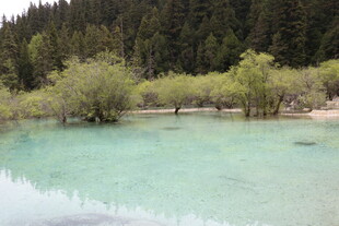 清澈碧绿的山间湖泊