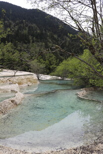 山间清澈溪流美景