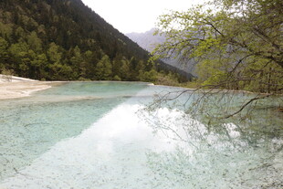 清澈河谷中的美丽山水景