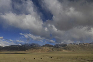 蓝天白云下的广袤荒原