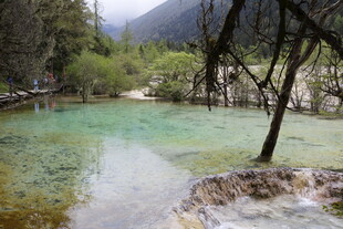九寨沟绝美清澈湖水景观