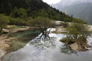 山间清潭 孤树静立