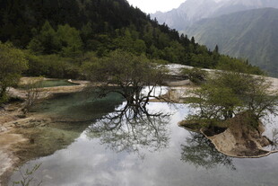 山间清澈溪流与繁茂植被