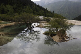 山间清潭孤树自然美景
