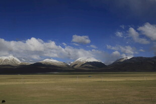 辽阔草原与远处雪山美景