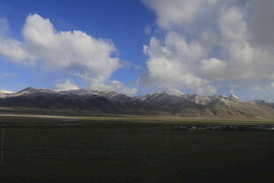 蓝天白云下的广袤原野