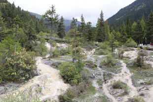 山间林地河流自然景观