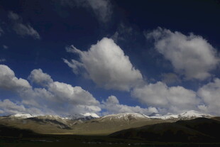 蓝天白云下的广袤原野