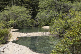 山间清澈溪流与葱郁植被