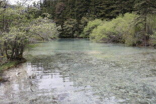 清澈山间溪流景色
