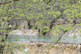 山间溪流伴新绿